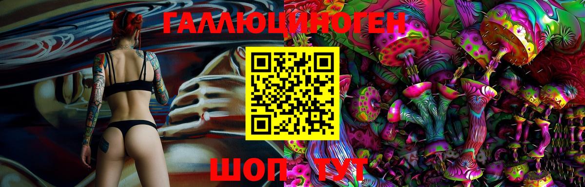 Псилоцибиновые грибы мицелий Сегежа