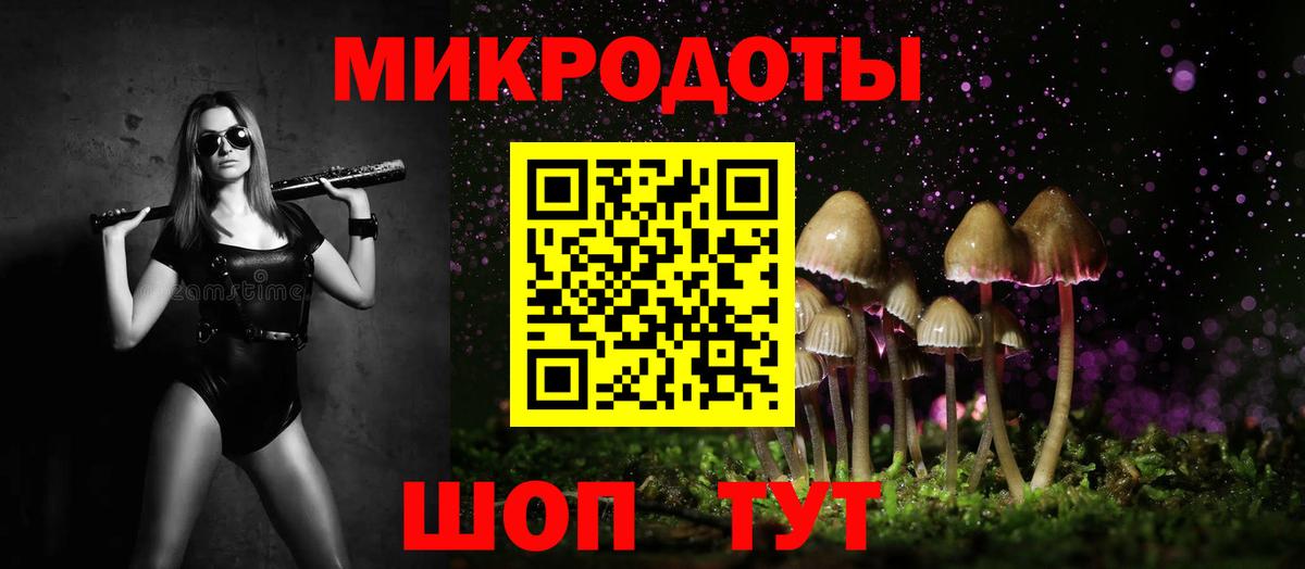 где продают наркотики  Вход с VPN  Сегежа  Псилоцибиновые грибы мухоморы 
