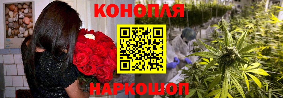 Бошки Шишки Bruce Banner Сегежа